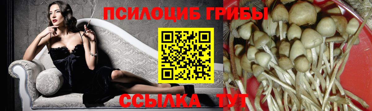 Воткинск  Галлюциногенные грибы Cubensis  Вход с VPN  Галлюциногенные грибы GOLDEN TEACHER 